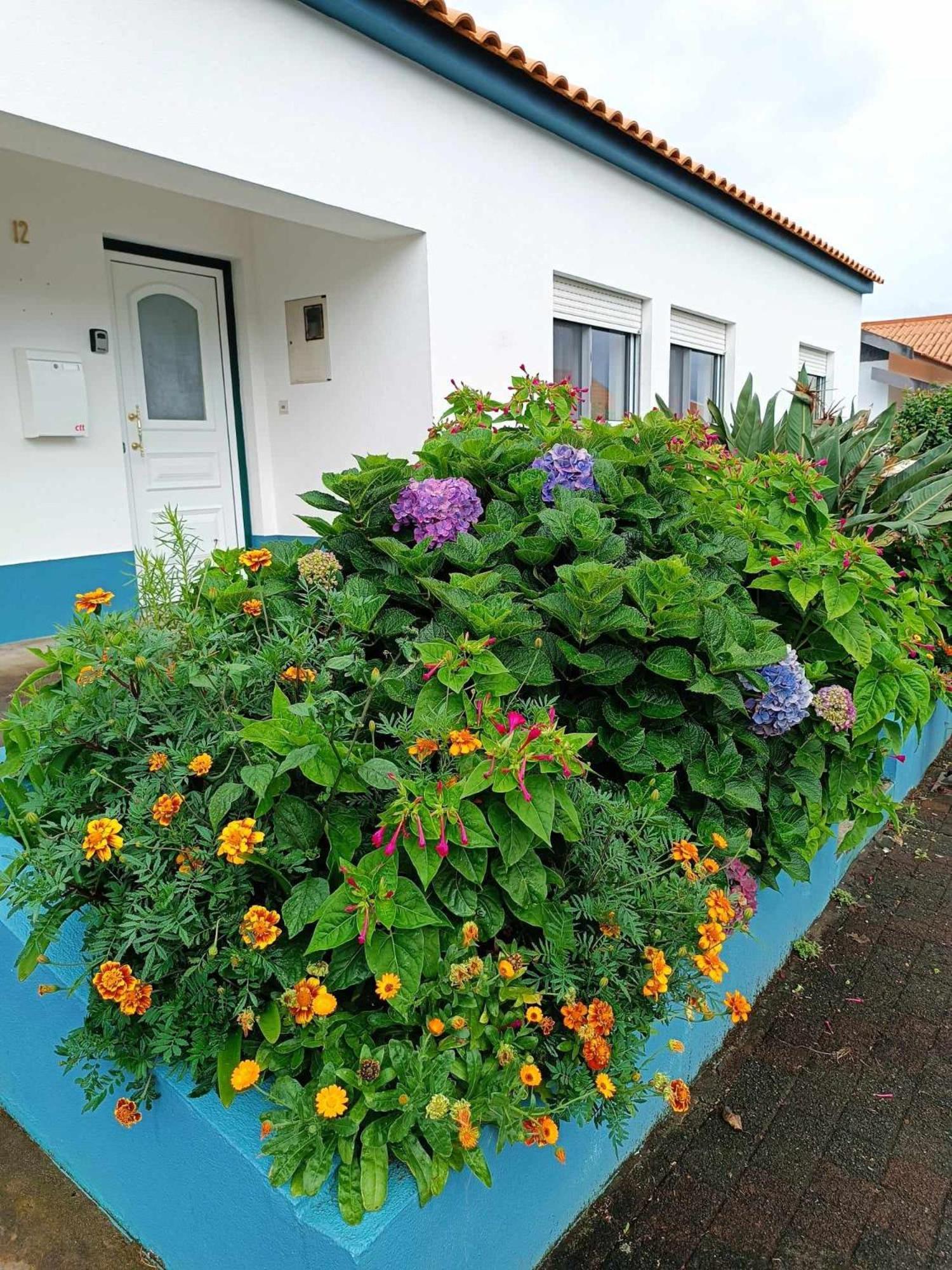 Apartamento Da Matilde Santa Cruz das Flores Ngoại thất bức ảnh